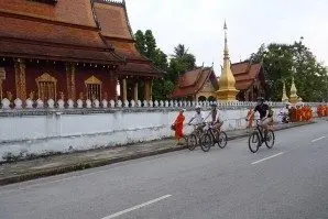 Tour Luang Prabang trong ngày: trải nghiệm voi (ảnh 4)
