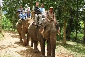 Tour thác Kuang Si trong ngày (ảnh 4)