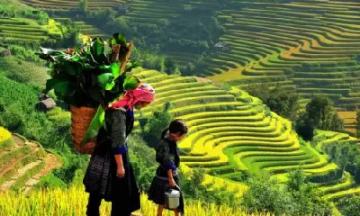 Tour Việt Nam – Myanmar 18 ngày (ảnh 3)