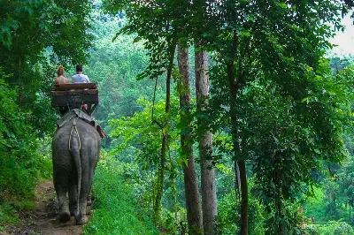 태국 7일 트레킹 투어: Bangkok – Ayutthaya – Chiang Mai (사진 5)