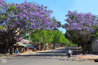 Tour trekking Việt Nam 4 ngày: TP.HCM – Đà Lạt – Mũi Né (ảnh 4)