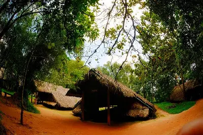 Треккинг-тур Вьетнам, 1 дн.: туннели Củ Chi (на велосипеде) (фото 2)