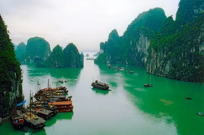 Du thuyền Việt Nam 2–3 ngày: Hà Nội – vịnh Hạ Long – tàu Paloma (ảnh 3)