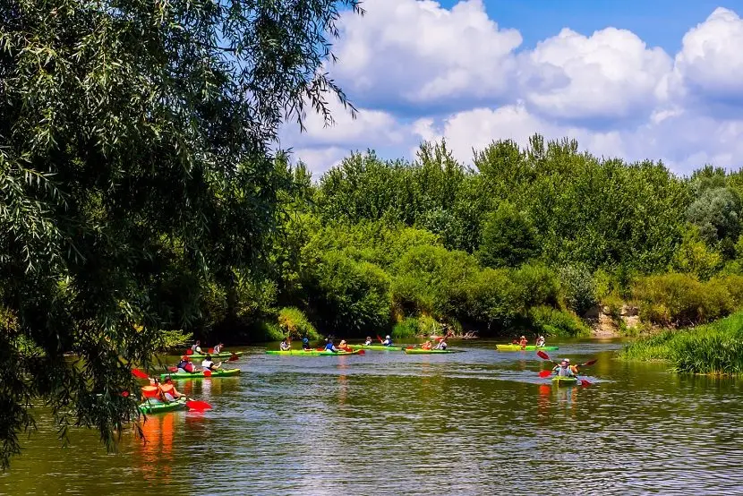 Tour Việt Nam 2 ngày: TP.HCM – Bến Tre (buổi tối)