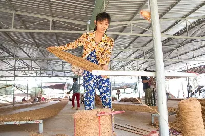 Tour Việt Nam 2 ngày: TP.HCM – Bến Tre (buổi tối) (ảnh 2)