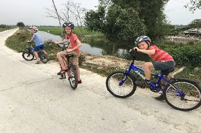 Tour trekking Việt Nam 1 ngày: Trà Quế (xe đạp) (ảnh 5)
