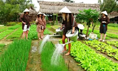 Tour trekking Việt Nam 4 ngày: Mai Châu