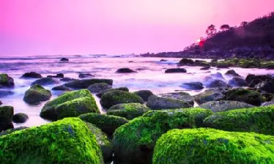 越南4天海灘度假：Huế – Đà Nẵng – Hội An (照片 3)