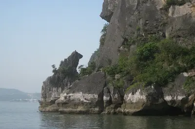 Залив Hạ Long — культурный тур на целый день (фото 5)
