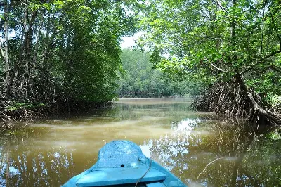 Cần Giờ full-day tour (speedboat) (photo 5)