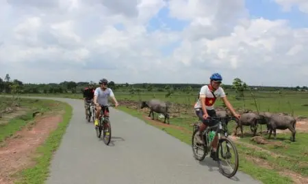 Tour Bến Tre & Mỹ Tho trong ngày