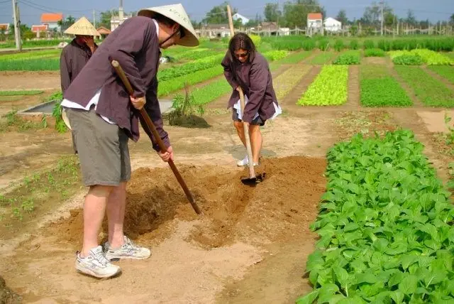 Tour lớp học nấu ăn & Trà Quế nửa ngày