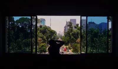 Tour Việt Nam 4 ngày: TP.HCM – Bến Tre – Mỹ Tho (ảnh 3)