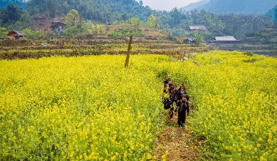 Tour Việt Nam 14 ngày: Hà Nội – vịnh Hạ Long – Sa Pa – Huế (ảnh 3)