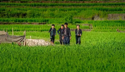 Tour Việt Nam 14 ngày: Hà Nội – vịnh Hạ Long – Sa Pa – Huế (ảnh 4)