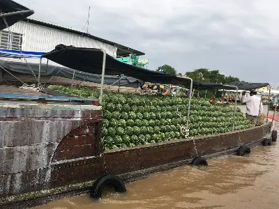 Tour Miền Nam & Mekong 6 ngày (ảnh 3)