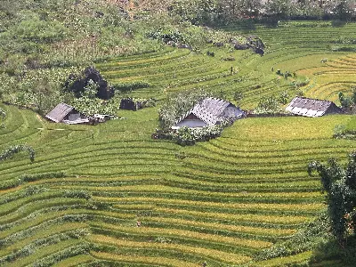 Tour Sapa – Lao Chải – Tả Van – Chợ Cốc Ly 3 ngày (ảnh 5)
