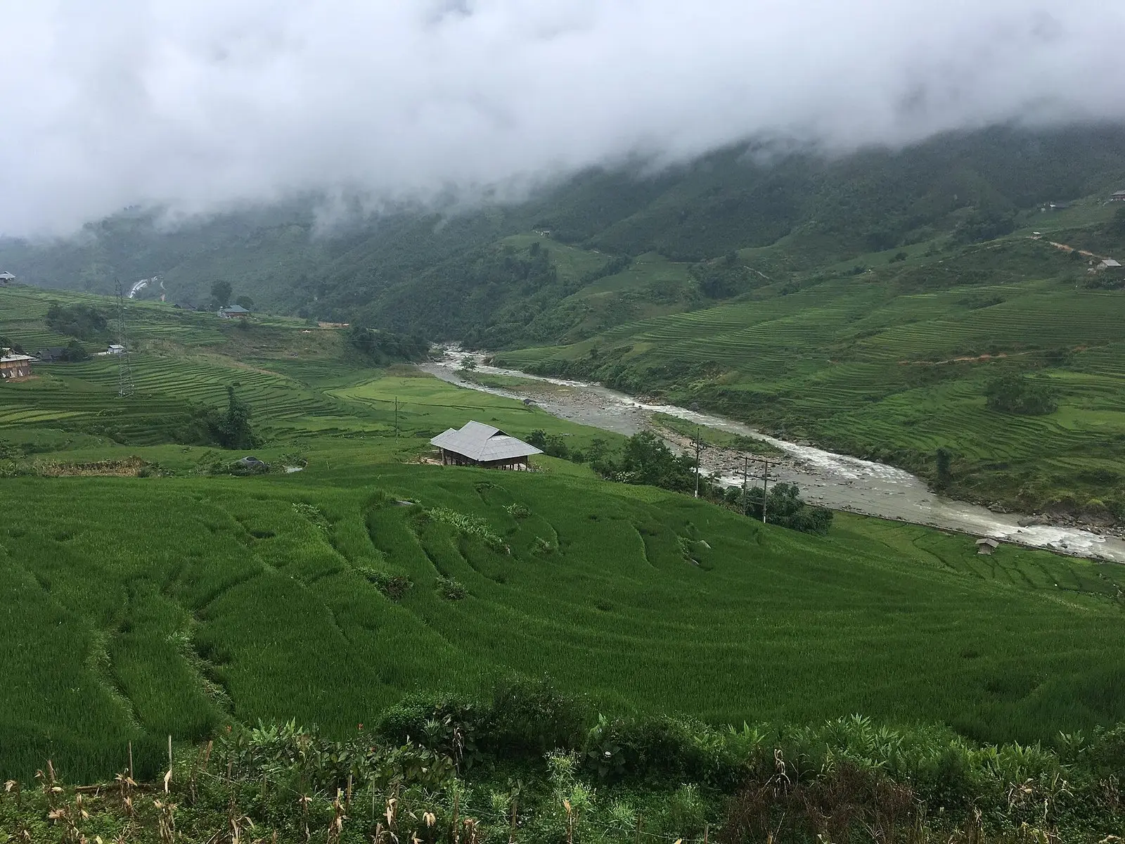 Tour Lào Cai – Chợ Cao Sơn – Sapa 3 ngày