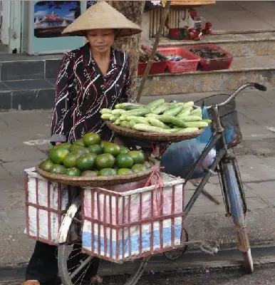 Tour Hà Nội trọn ngày bằng xích lô (ảnh 5)