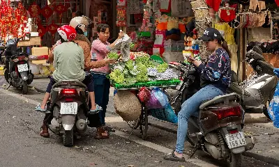 Du thuyền Việt Nam 2–3 ngày: Hà Nội – vịnh Hạ Long – tàu Paloma