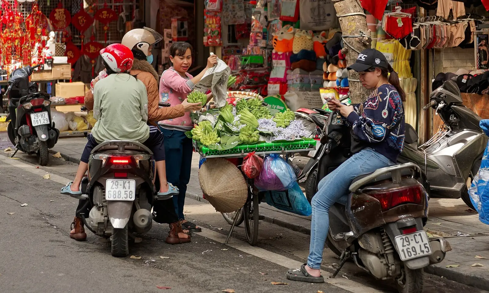 Du thuyền Việt Nam 2–3 ngày: Hà Nội – vịnh Hạ Long – tàu Paloma