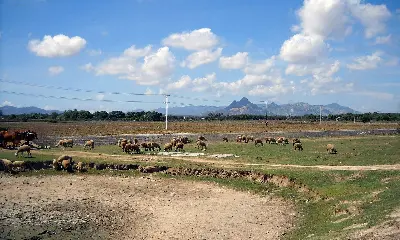 Landtour đoàn Cam Ranh – Nam Khánh Hòa: Về Miền Cát Trắng 3 ngày 2 đêm (ảnh 5)