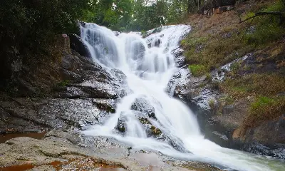 Landtour đoàn Cam Ranh – Nam Khánh Hòa – Đà Lạt: Rừng Vàng Biển Bạc 5 ngày 4 đêm (ảnh 2)