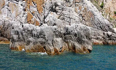 Landtour đoàn Nam Khánh Hòa – Nha Trang: Cung Đường Biển Đẹp Nhất Việt Nam 4 ngày 3 đêm (ảnh 2)