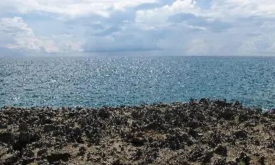 Landtour đoàn Nam Khánh Hòa – Nha Trang: Cung Đường Biển Đẹp Nhất Việt Nam 4 ngày 3 đêm (ảnh 3)