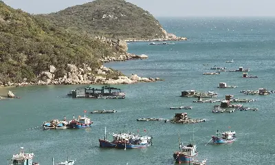 Landtour đoàn Nam Khánh Hòa – Nha Trang: Cung Đường Biển Đẹp Nhất Việt Nam 4 ngày 3 đêm (ảnh 4)