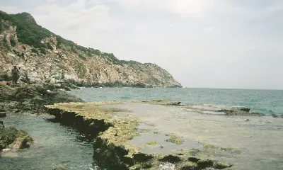 Landtour đoàn Nam Khánh Hòa – Nha Trang: Cung Đường Biển Đẹp Nhất Việt Nam 5 ngày 4 đêm (ảnh 4)