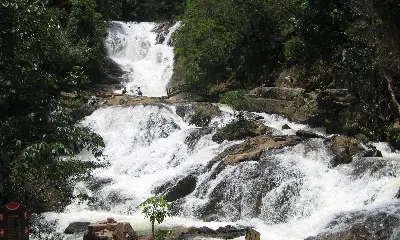 Landtour đoàn Nha Trang – Nam Khánh Hòa – Đà Lạt: Rừng Vàng Biển Bạc 5 ngày 4 đêm (ảnh 2)