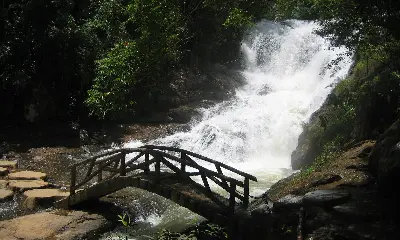 Landtour đoàn Nha Trang – Đà Lạt – Nam Khánh Hòa 5 ngày 4 đêm (ảnh 4)