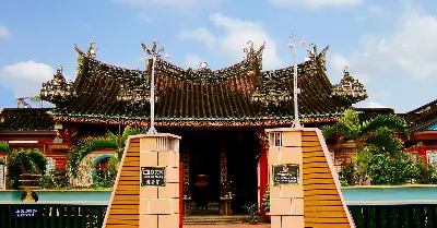 Tour riêng 1 ngày từ TP.HCM: rừng tràm Xẻo Quýt và làng hoa Sa Đéc (ảnh 4)