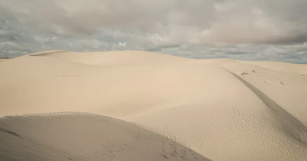 Đồi cát vàng Mũi Né dưới nắng