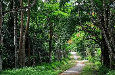 Vé tham quan Vườn quốc gia Cúc Phương