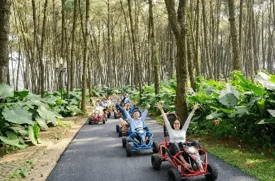 Vé Đồi thông hồ Đồng Chương