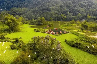 Vé tham quan vườn chim Thung Nham (ảnh 2)