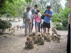 Ảnh khách chụp — TOUR NHA TRANG 4N3Đ (ĐI VỊNH NHA PHU) (Linh Nguyễn)
