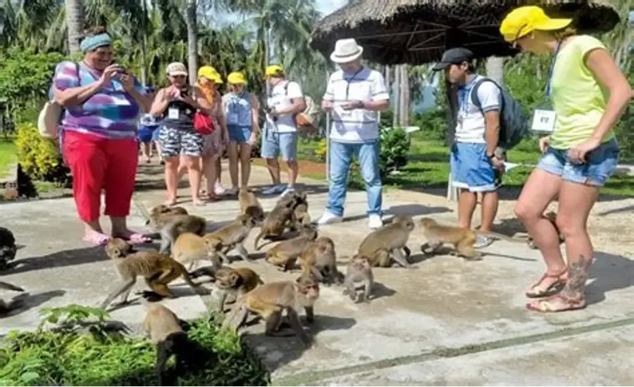 Ảnh khách chụp — TOUR NHA TRANG 4N3Đ (ĐI VỊNH NHA PHU) (Thuỳ Trang)