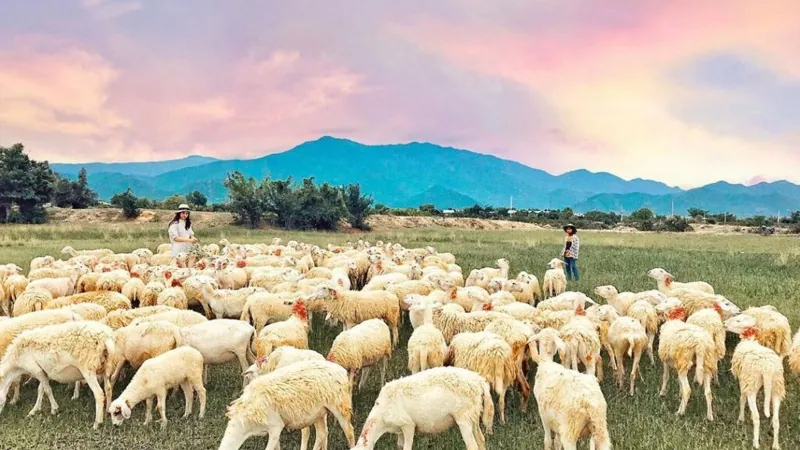 Ảnh khách chụp — NHA TRANG - VĨNH HY 3N2D (Ngọc Khánh)
