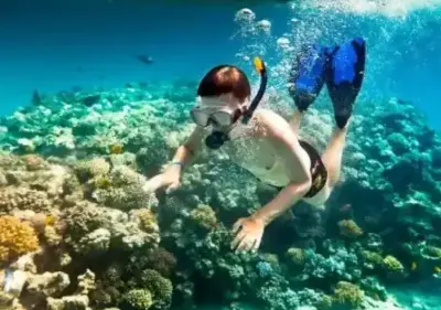 Tour Cù Lao Chàm 1 Ngày – Lặn Ngắm San Hô, Khởi Hành Từ Đà Nẵng (ảnh 5)